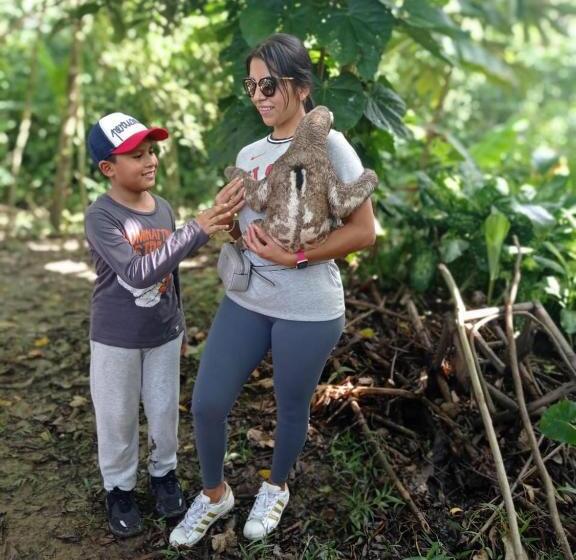 فندق صغير Milia Amazon Lodge