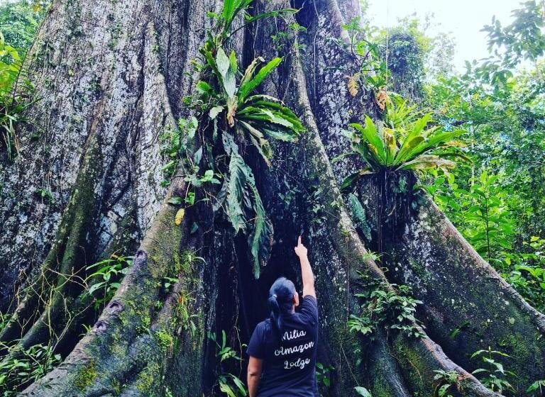 فندق صغير Milia Amazon Lodge