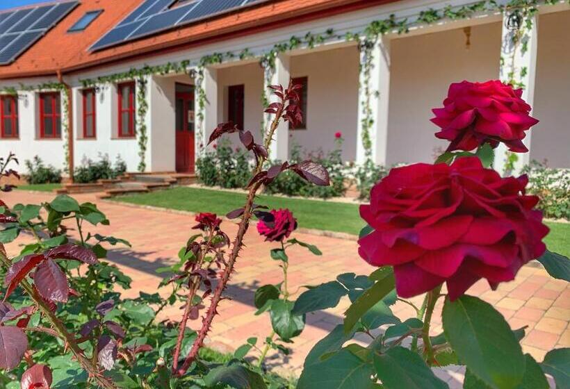 مبيت وإفطار Beck S Borveranda Palkonya