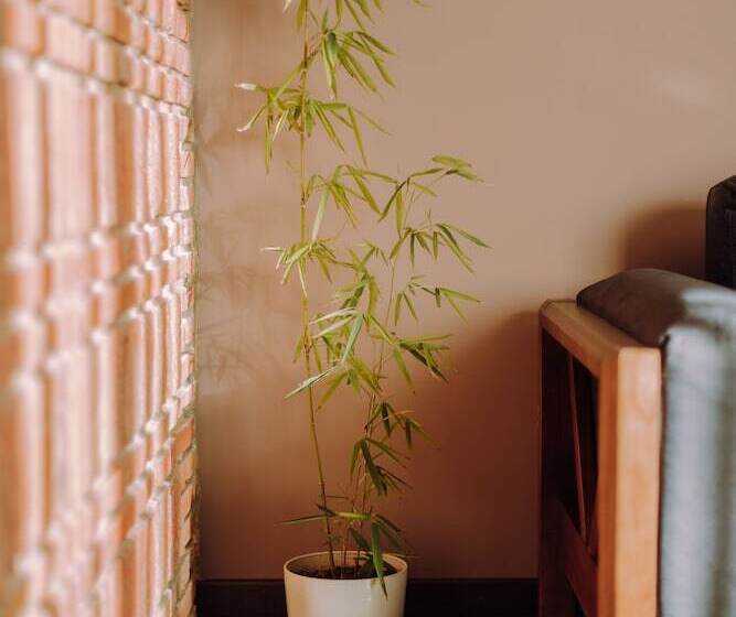 Boutique Hotel Kviria