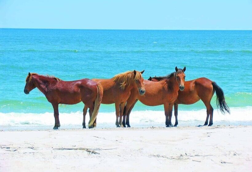 Chanceford Hall Bed & Breakfast