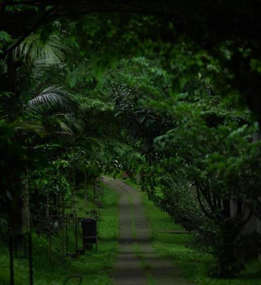 Coffee Greens Resort