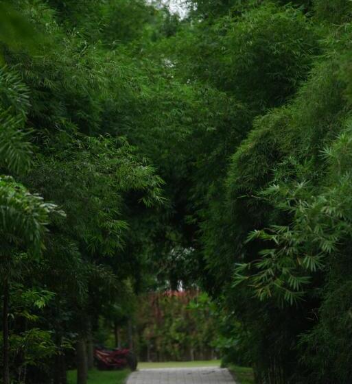 Coffee Greens Resort