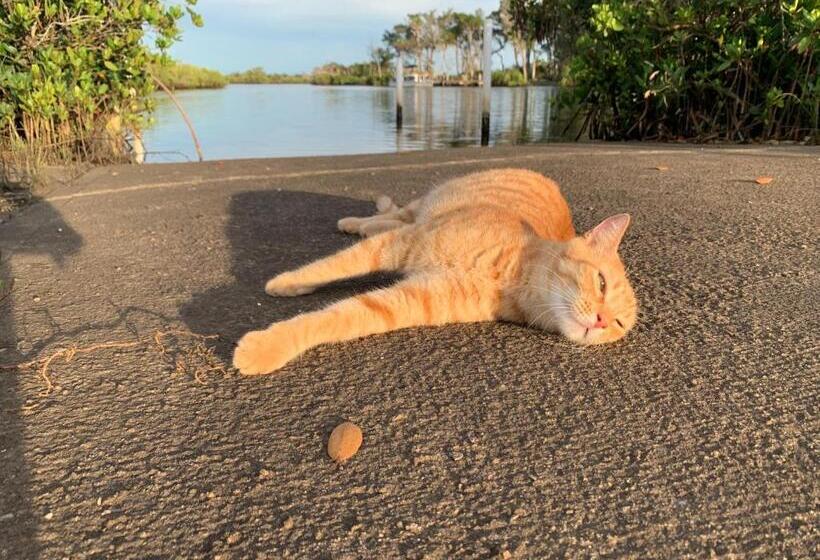 Crystal River Lullaby B&b