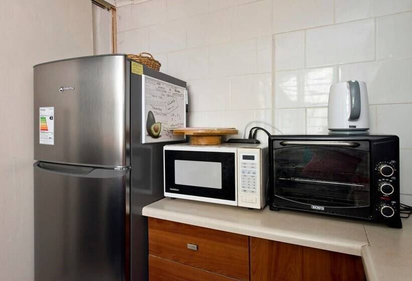 Отель Hostal Terraza Recreo