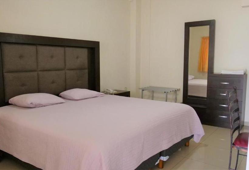 Отель Insurgentes Express