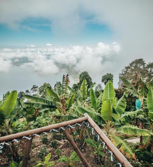 فندق La Cima Eco