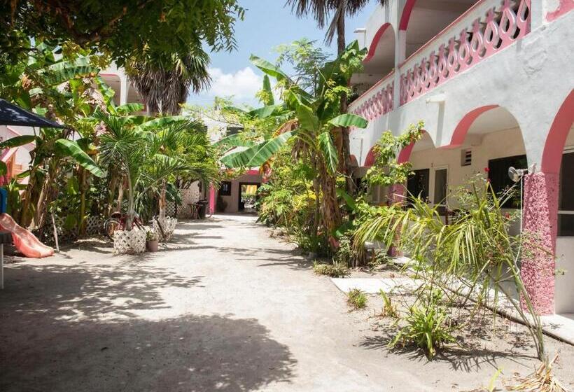 ホテル Los Arcos Holbox