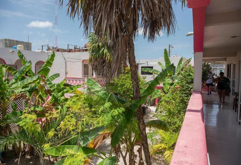 호텔 Los Arcos Holbox