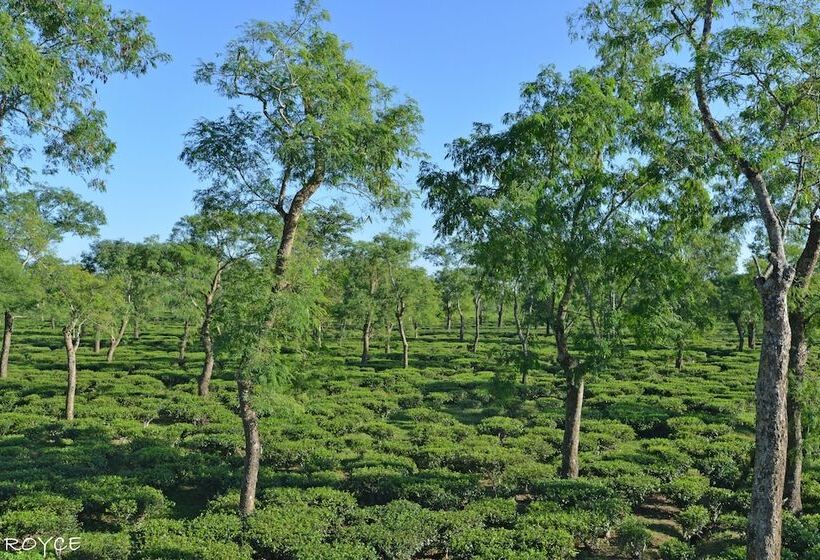 هتل Manohari The Tea Retreat