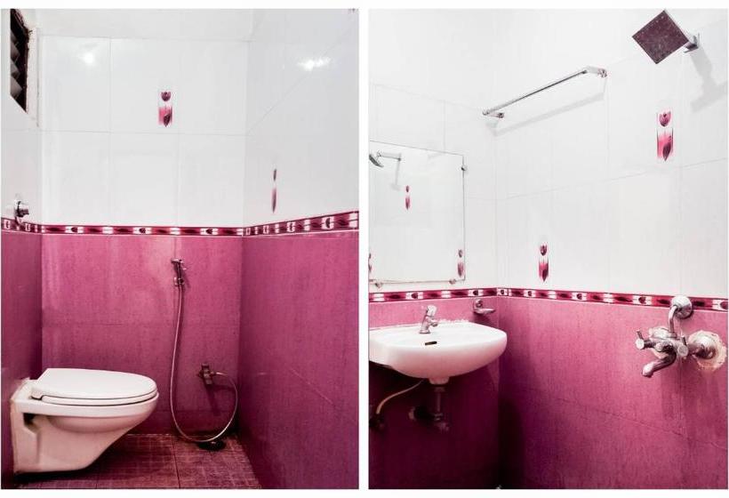 Отель Oyo Rpr269 Shubham Palace