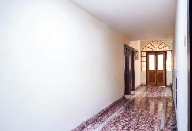 Отель Oyo Rpr269 Shubham Palace