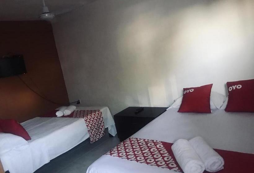 Отель Posada Roma