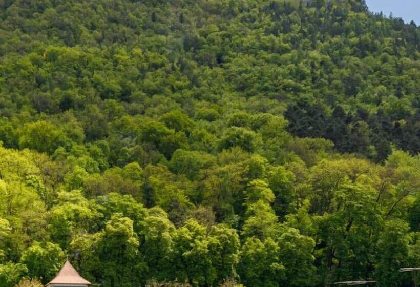 فندق Schuster Boarding House