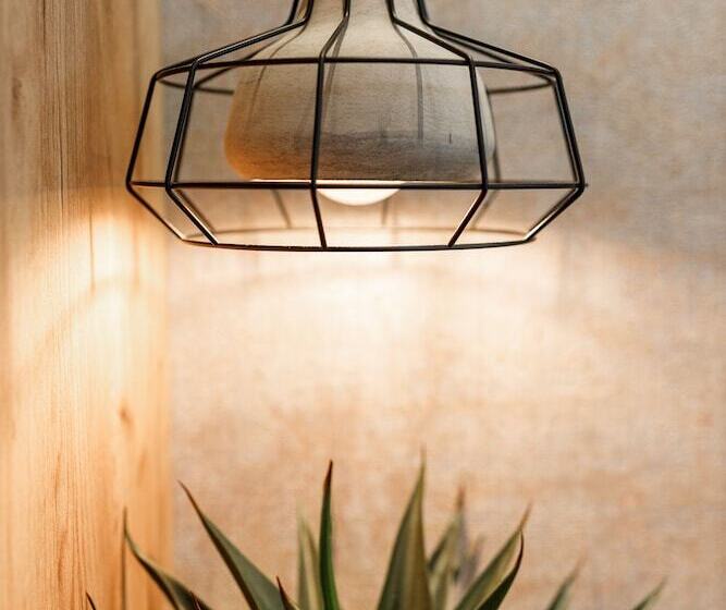 فندق Schuster Boarding House