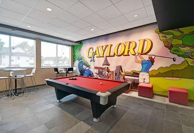 فندق Tru By Hilton Gaylord, Mi