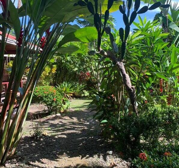 ペンション Casa Mambo