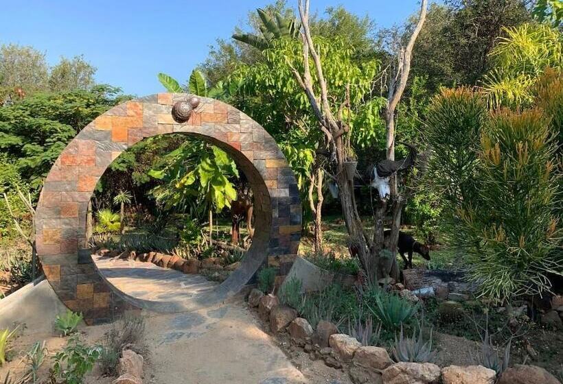 膳宿费 Hippomoon Lodge Game Reserve