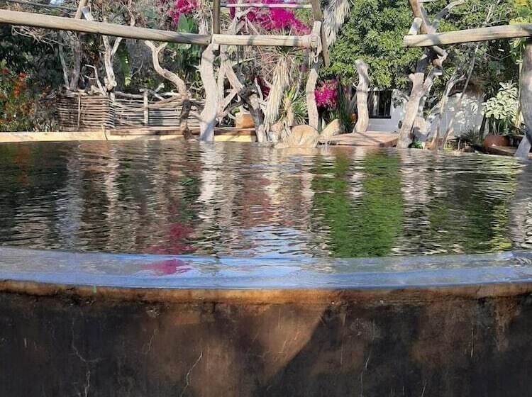 膳宿费 Hippomoon Lodge Game Reserve