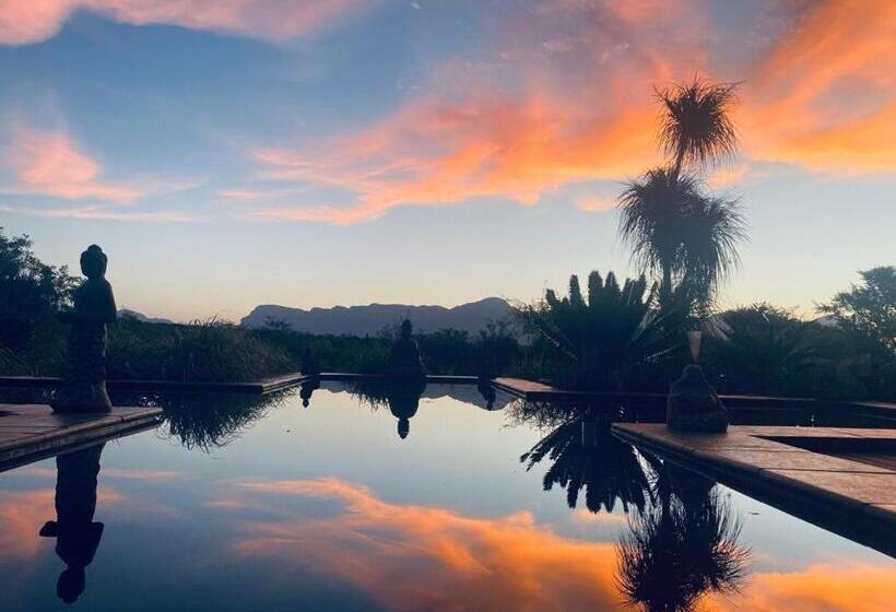 膳宿费 Hippomoon Lodge Game Reserve