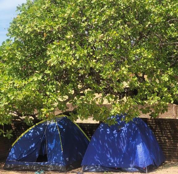 ペンション Hostel Flor Da Vida