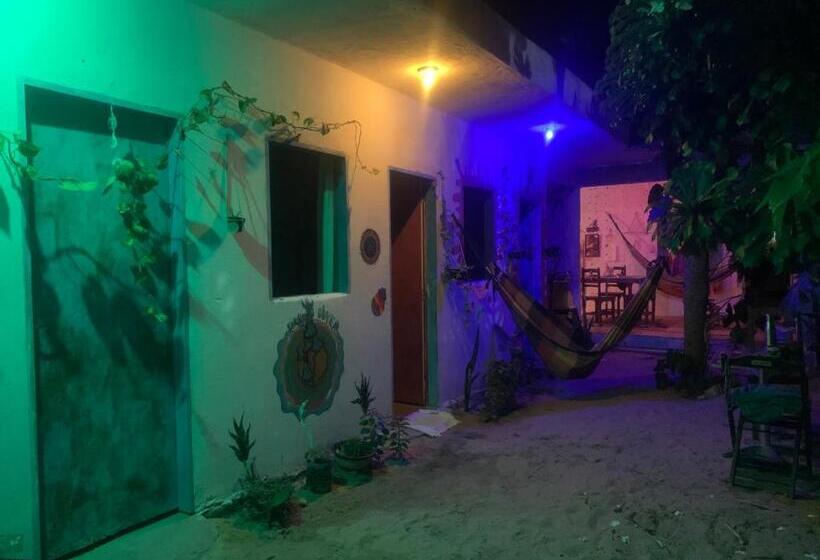 ペンション Hostel Flor Da Vida