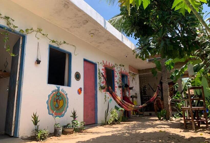 پانسیون Hostel Flor Da Vida