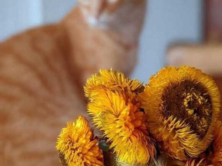 펜션 Morobik Hostal Popayán