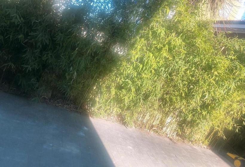 펜션 New Family Inn