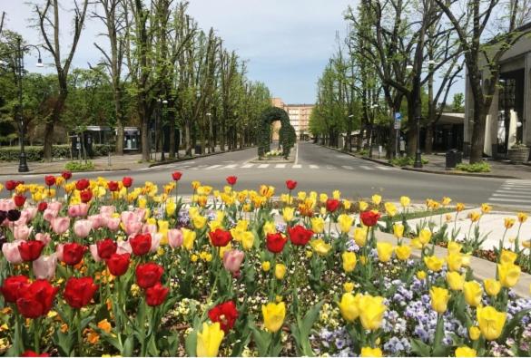 פנסיון Room E Breakfast Diana E Ninni Salsomaggiore Terme