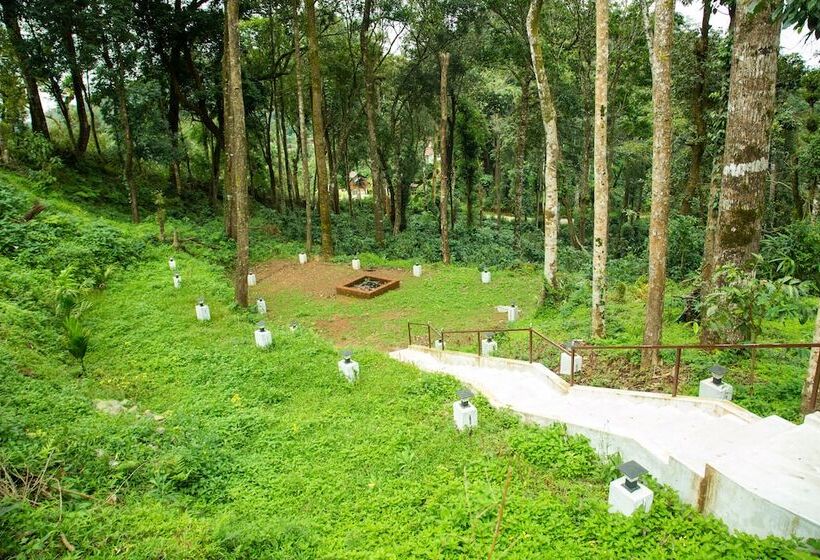 بنسيون Room In Cabin   The Nest Bettathur, Coorg Ct 003
