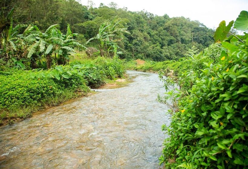 بنسيون Room In Cabin   The Nest Bettathur, Coorg Ct 004