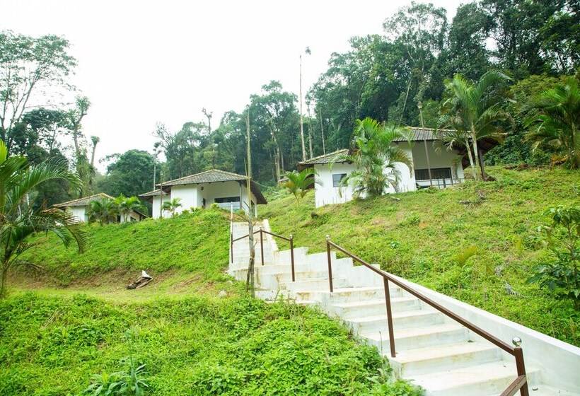 بنسيون Room In Cabin   The Nest Bettathur, Coorg Ct 004