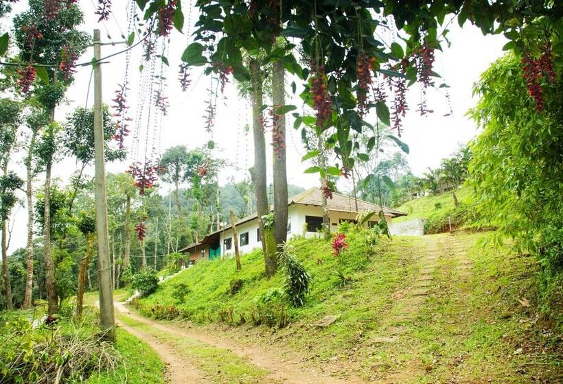 بنسيون Room In Cabin   The Nest Bettathur, Coorg Ct 004