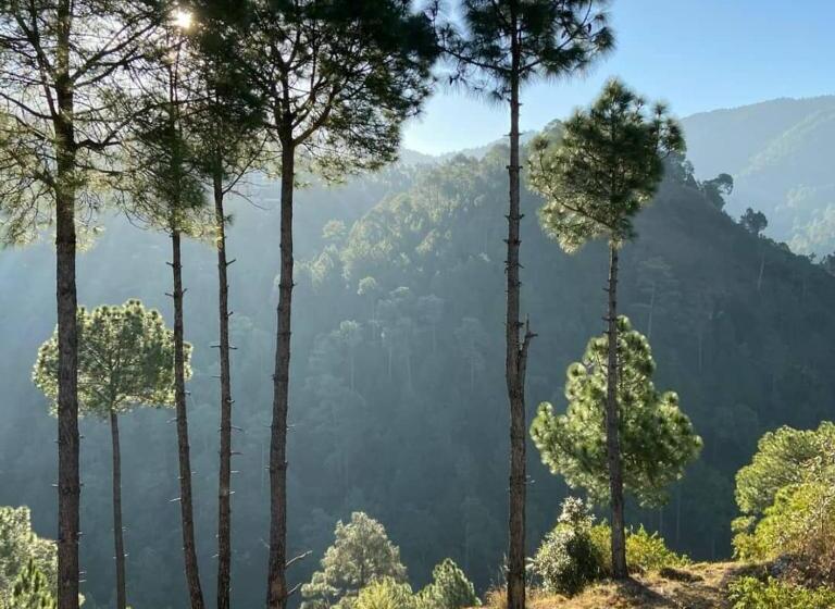 منتجع Golden Valley Cottages, Chail