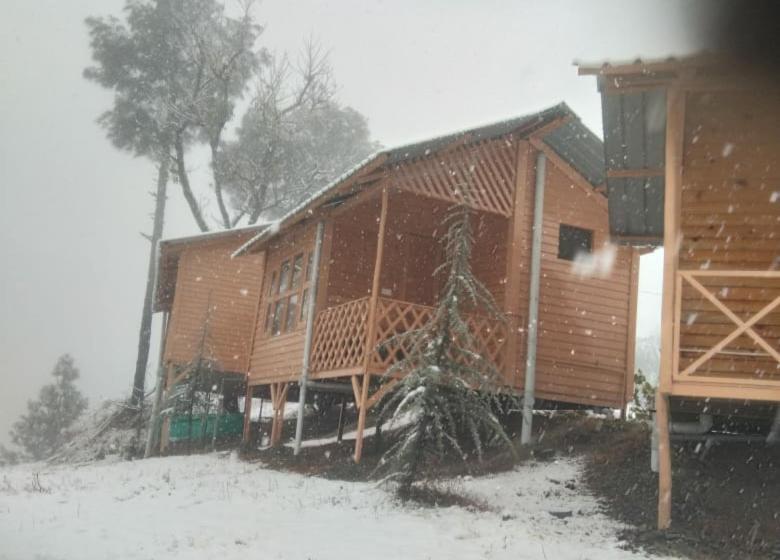 منتجع Golden Valley Cottages, Chail