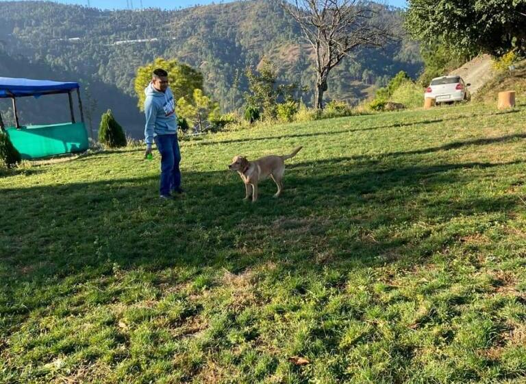 منتجع Golden Valley Cottages, Chail