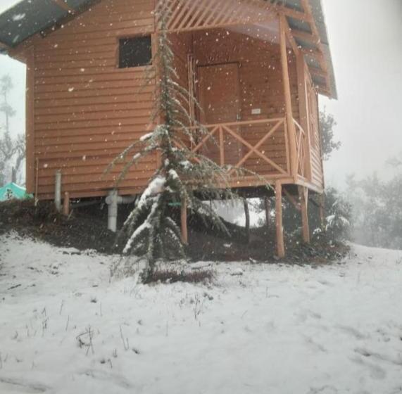 منتجع Golden Valley Cottages, Chail