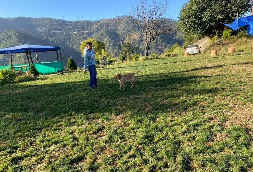 منتجع Golden Valley Cottages, Chail