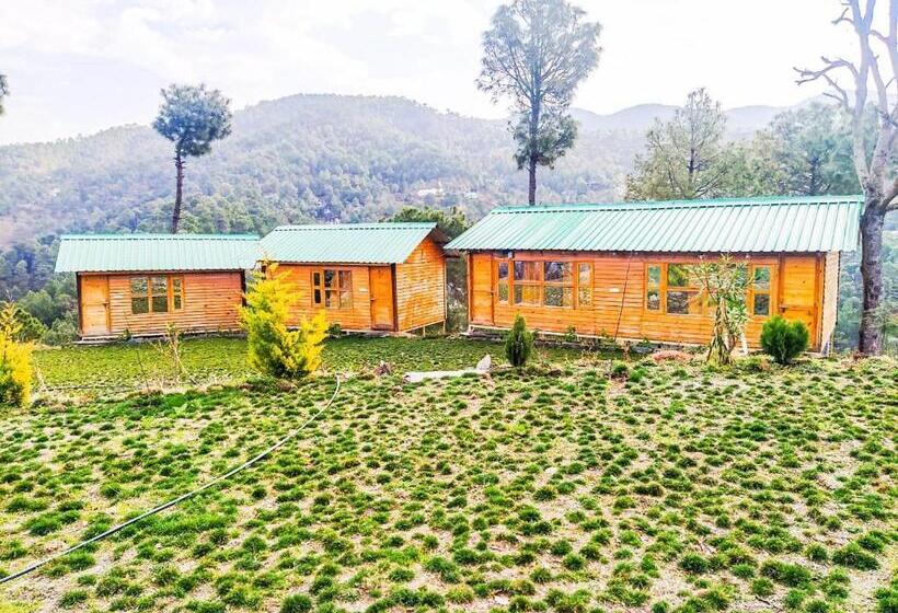 منتجع Golden Valley Cottages, Chail