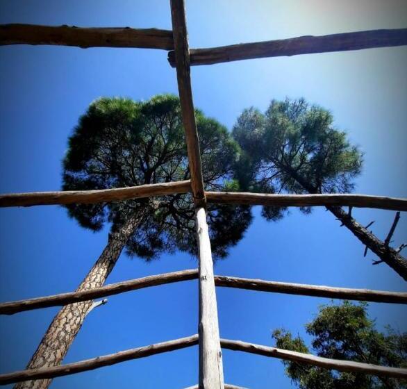 منتجع Golden Valley Cottages, Chail