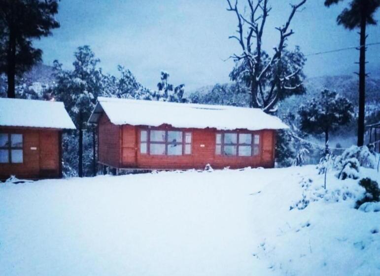 منتجع Golden Valley Cottages, Chail