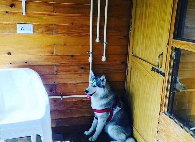 منتجع Golden Valley Cottages, Chail