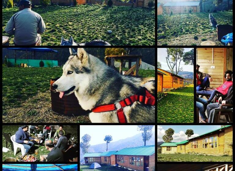 منتجع Golden Valley Cottages, Chail