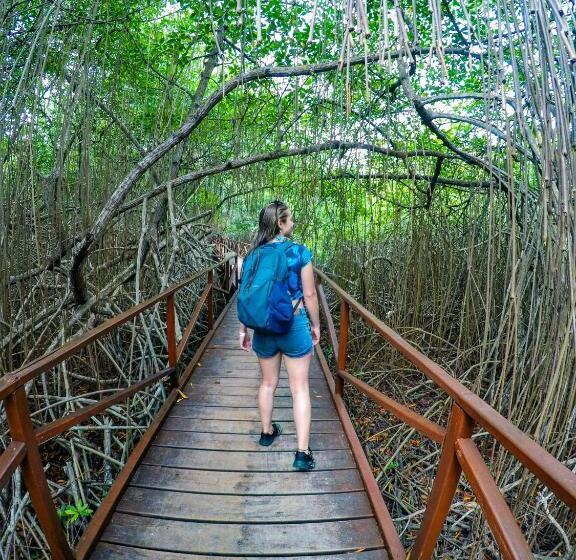 هاستل El Hongo Finca Hostal / Camping