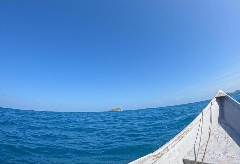 هاستل El Hongo Finca Hostal / Camping