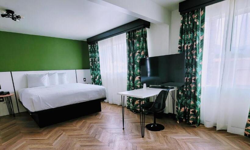 호스텔 The Bell Vista