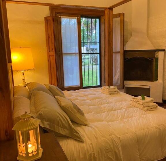 مبيت وإفطار Don Aniceto   Suites De Campo