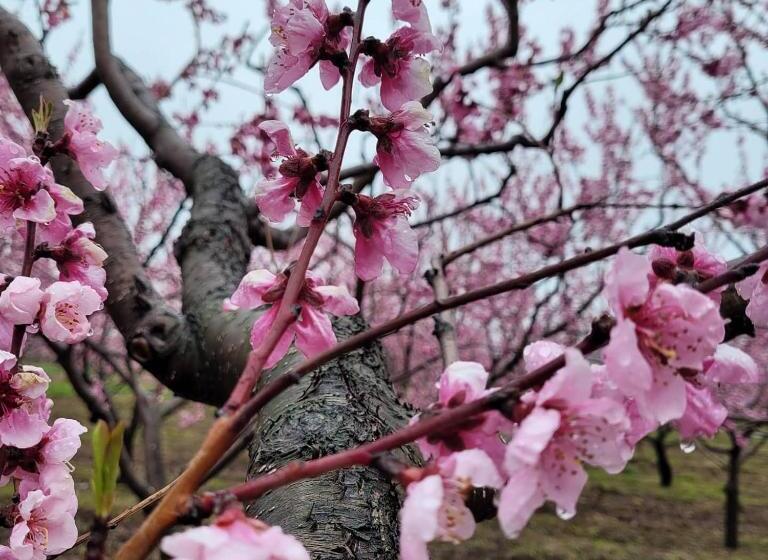 Bed and Breakfast La Maison De Sophie