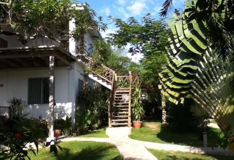 Bluebelize B&b
